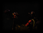 476 Divers in